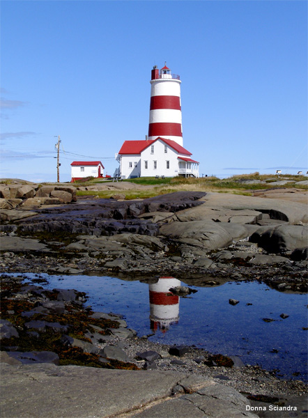 Lighthouse by Donna Sciandra